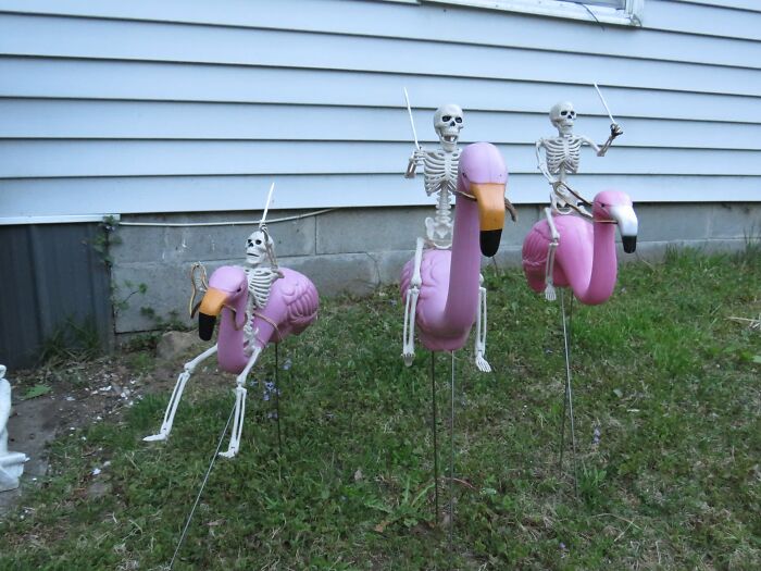 Our New Repurposed Lawn Flamingos. Picked Them Up At A Yard Sale Not Long Go. The Skeletons Last Year Off The Marketplace. And Well This Is What Happened