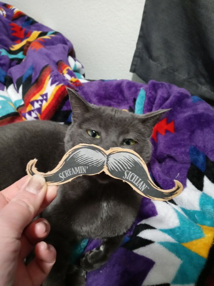 I Had To Hold The 'Stache For Her