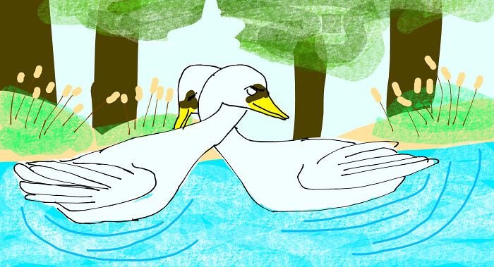 Ok These Are My Lesbian Swans... Yeah Don't Judge I Drew With A Touchpad...