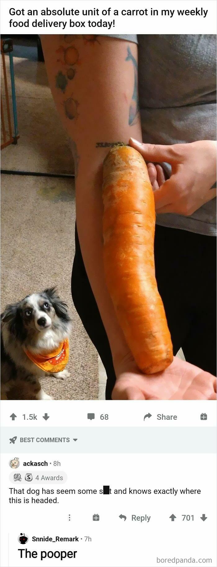 Cursed_carrot