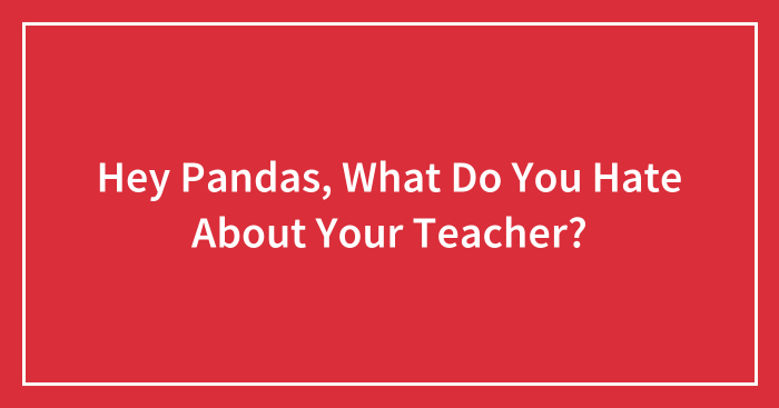 Hey Pandas, What Do You Hate About Your Teacher? (Closed)