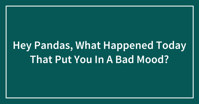 Hey Pandas, What Happened Today That Put You In A Bad Mood? (Closed)