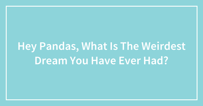 Hey Pandas, What Is The Weirdest Dream You Have Ever Had? (Closed)