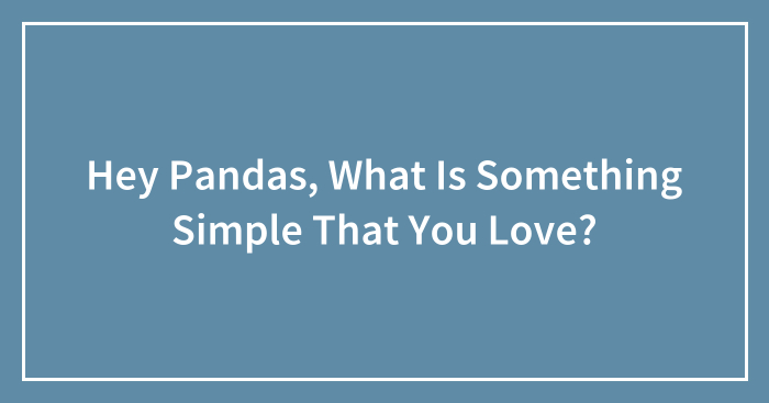 Hey Pandas, What Is Something Simple That You Love? (Closed)