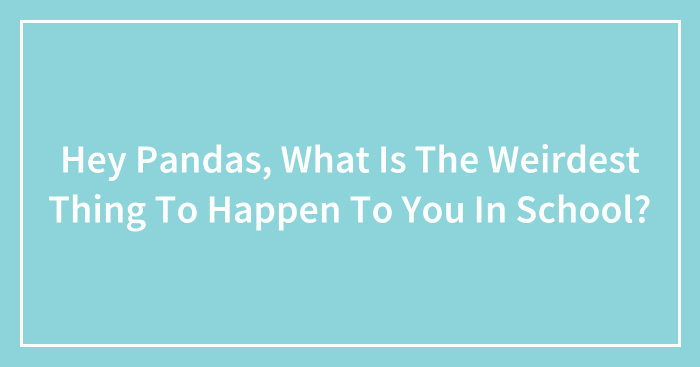 Hey Pandas, What Is The Weirdest Thing To Happen To You In School? (Closed)