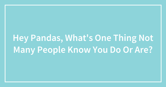 Hey Pandas, What’s One Thing Not Many People Know You Do Or Are? (Closed)