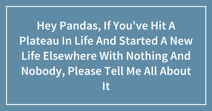 Hey Pandas, If You’ve Hit A Plateau In Life And Started A New Life Elsewhere With Nothing And Nobody, Please Tell Me All About It (Closed)