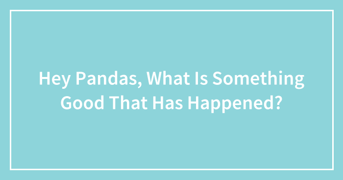 Hey Pandas, What Is Something Good That Has Happened? (Closed)