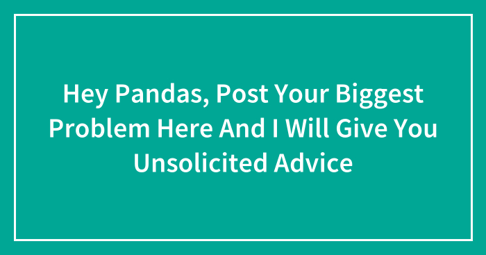 Hey Pandas, Post Your Biggest Problem Here And I Will Give You Unsolicited Advice (Closed)
