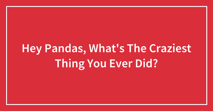 Hey Pandas, What’s The Craziest Thing You Ever Did? (Closed)