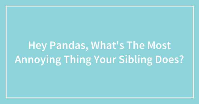 Hey Pandas, What’s The Most Annoying Thing Your Sibling Does? (Closed)