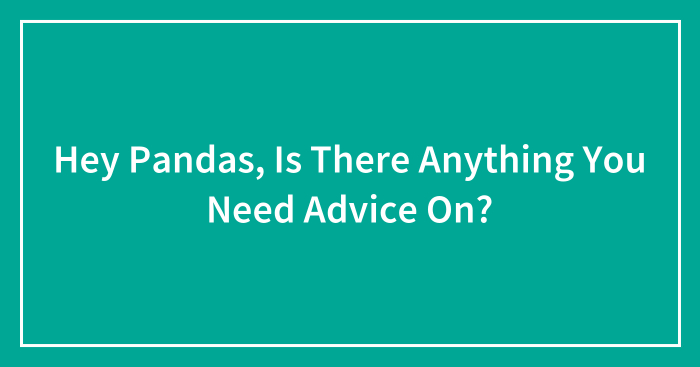 Hey Pandas, Is There Anything You Need Advice On? (Closed)