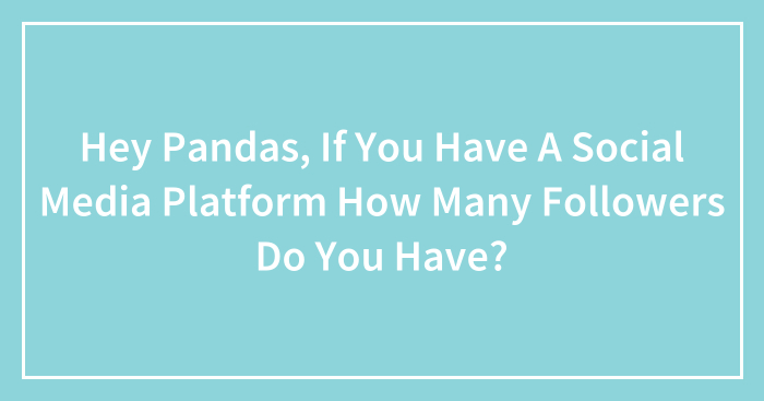 Hey Pandas, If You Have A Social Media Platform How Many Followers Do You Have? (Closed)