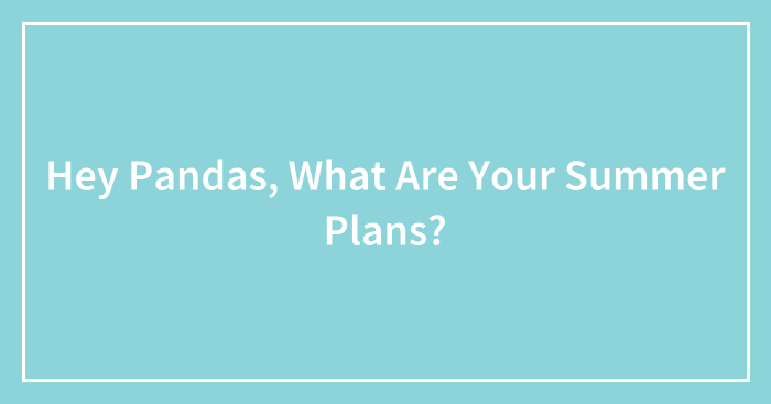 Hey Pandas, What Are Your Summer Plans? (Closed)