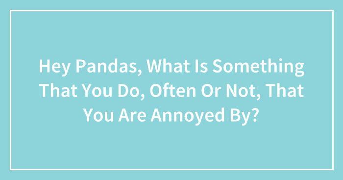 Hey Pandas, What Is Something That You Do, Often Or Not, That You Are Annoyed By? (Closed)