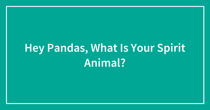Hey Pandas, What Is Your Spirit Animal? (Closed)