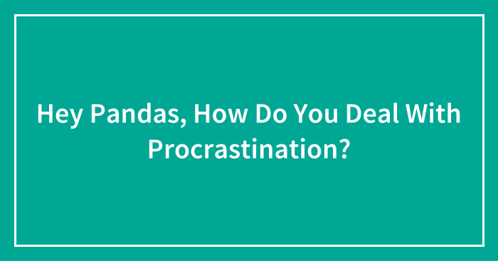 Hey Pandas, How Do You Deal With Procrastination? (Closed)