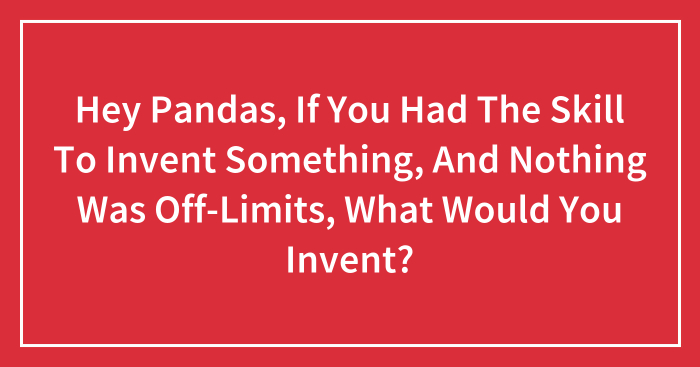 Hey Pandas, If You Had The Skill To Invent Something, And Nothing Was Off-Limits, What Would You Invent? (Closed)