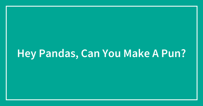 Hey Pandas, Can You Make A Pun? (Closed)