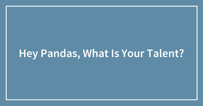 Hey Pandas, What Is Your Talent? (Closed)