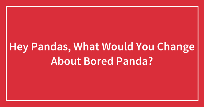 Hey Pandas, What Would You Change About Bored Panda? (Closed)