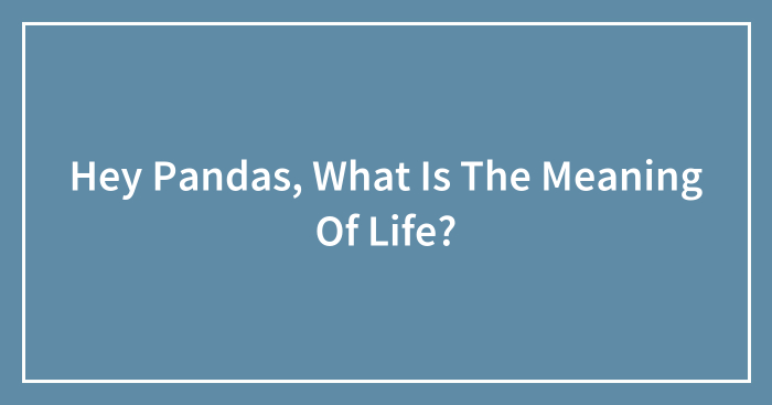 Hey Pandas, What Is The Meaning Of Life? (Closed)