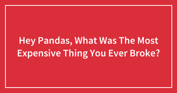 Hey Pandas, What Was The Most Expensive Thing You Ever Broke?