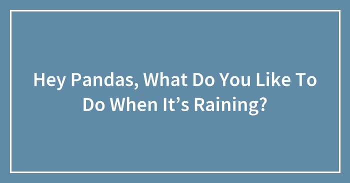 Hey Pandas, What Do You Like To Do When It’s Raining? (Closed)