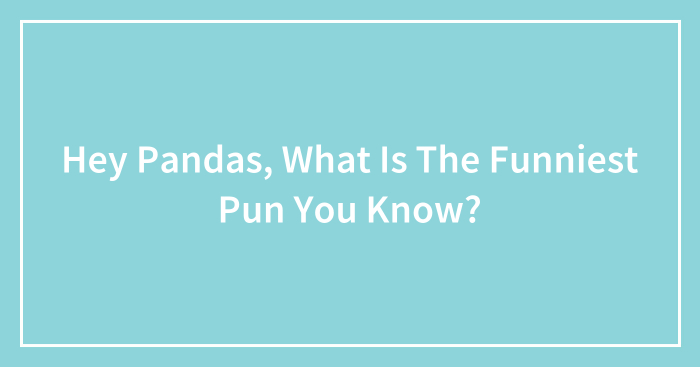 Hey Pandas, What Is The Funniest Pun You Know? (Closed)