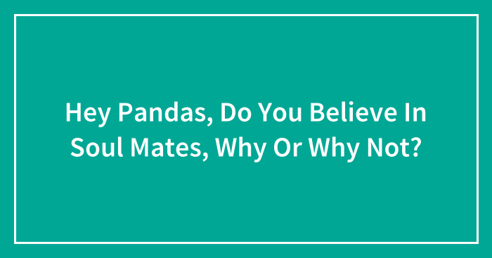 Hey Pandas, Do You Believe In Soul Mates, Why Or Why Not? (Closed)