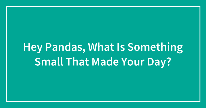 Hey Pandas, What Is Something Small That Made Your Day? (Closed)