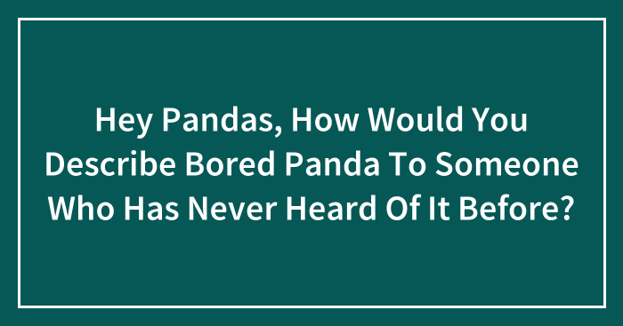 Hey Pandas, How Would You Describe Bored Panda To Someone Who Has Never Heard Of It Before? (Closed)