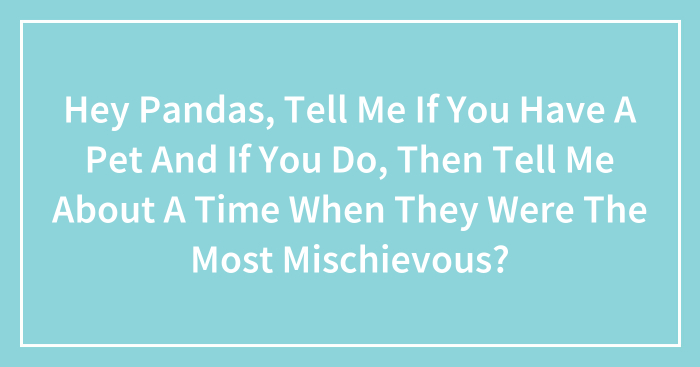 Hey Pandas, Tell Me If You Have A Pet And If You Do, Then Tell Me About A Time When They Were The Most Mischievous?