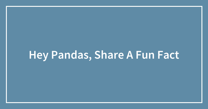 Hey Pandas, Share A Fun Fact (Closed)