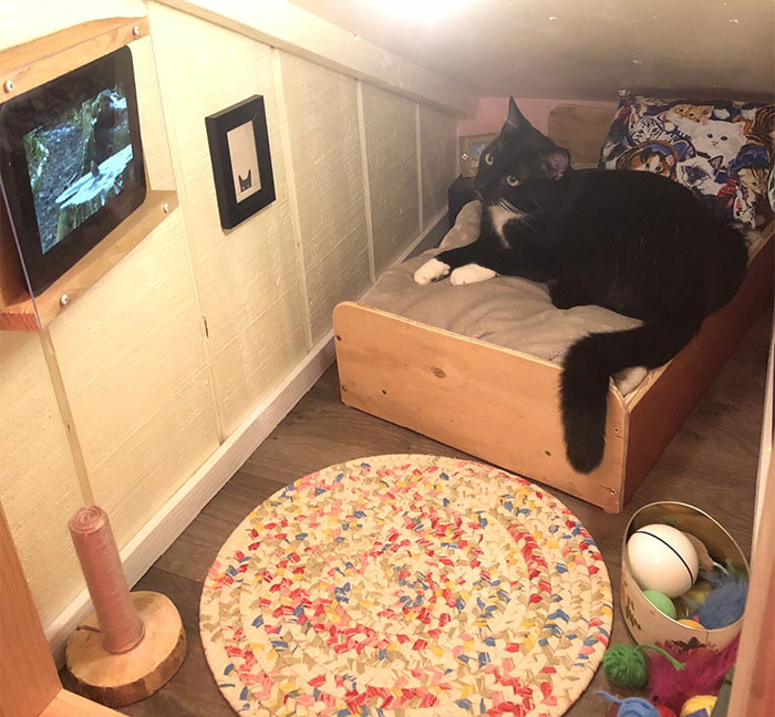 Guy Transforms Empty Space Behind Wall Into Tiny Bedroom For His Cat, Makes Other Cat Parents Feel Bad About Themselves