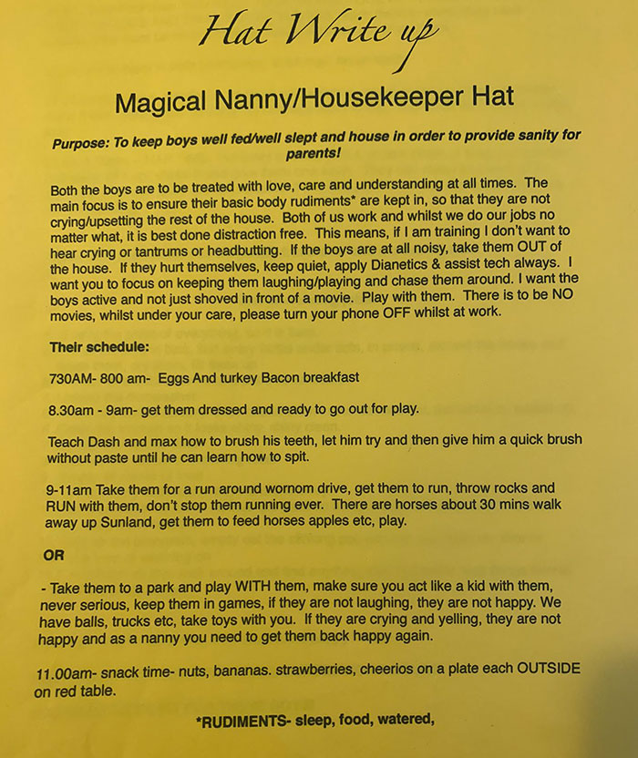 Woman Shares The Requirements For A Nanny Job She'd Been Interviewed For, And It Shows What Happens When Lunatics Are Hiring