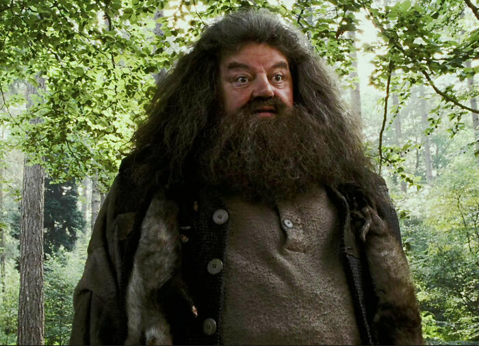 Hagrid Is A Death Eater