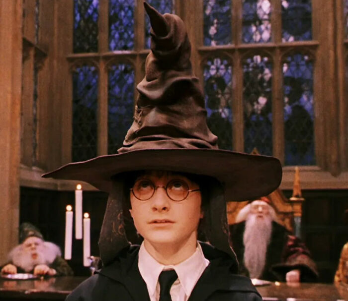 Harry Potter: If You Want To Get Into Gryffindor, You Have To Ask The Sorting Hat