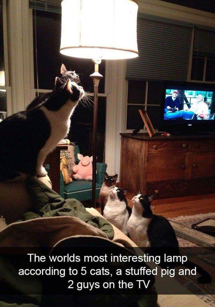 An Interesting Lamp Indeed