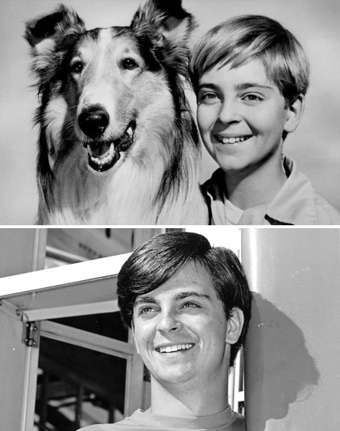 In The ’50s, Tommy Rettig Was The Adorable Boy Whose Sidekick Was The Ubiquitous Lassie. After Lassie He Found Work As A Computer Software Engineer.