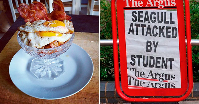 Hilarious Times People Caught The UK Going ‘Too Far’ And Documented It In These 50 Pics
