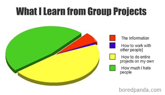 What I Learn From Group Projects