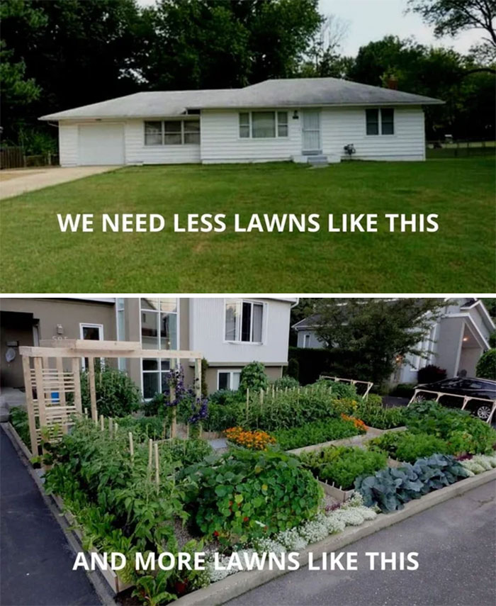 I Want My Lawn To Feed Me Not Vice Versa