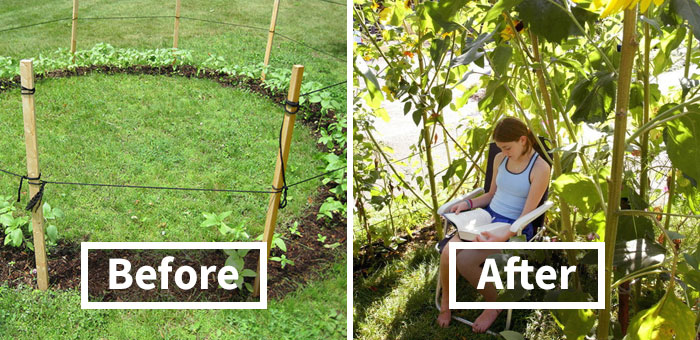 50 Times People With A Green Thumb Shared Some Awesome Gardening Ideas