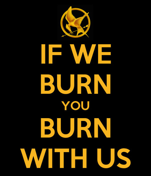 if-we-burn-you-burn-with-us-12-609d655e73096-png.jpg