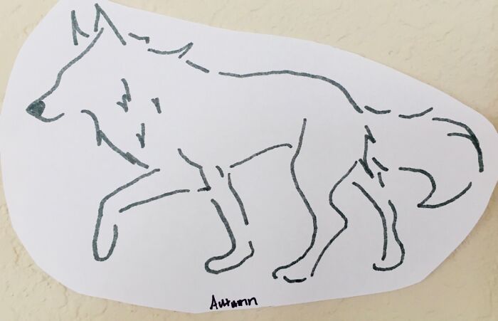 Line Drawn Wolf