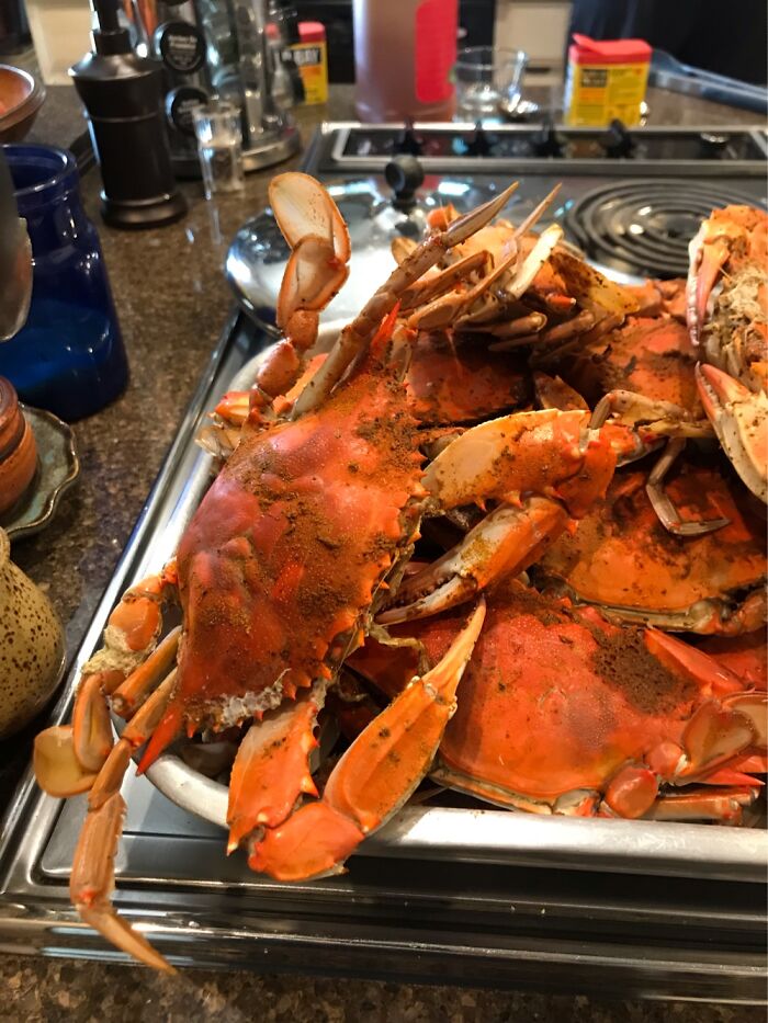 Blue Crabs Gone Red