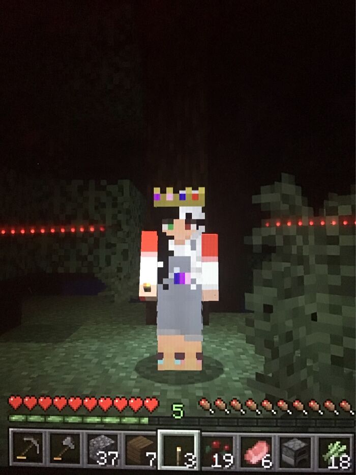 My Mc Skin I Spent Way Too Long On (It’s Three Skins Put Into One :])