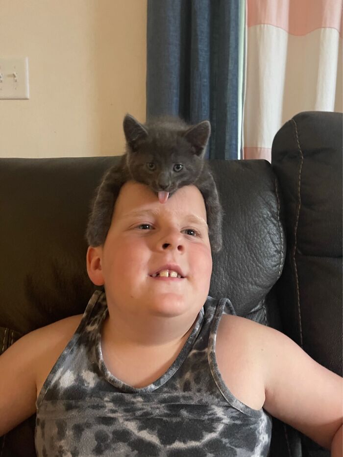 My Friends Kid Looks Like He’s Got Elvis Hair And A Hilarious Cat.