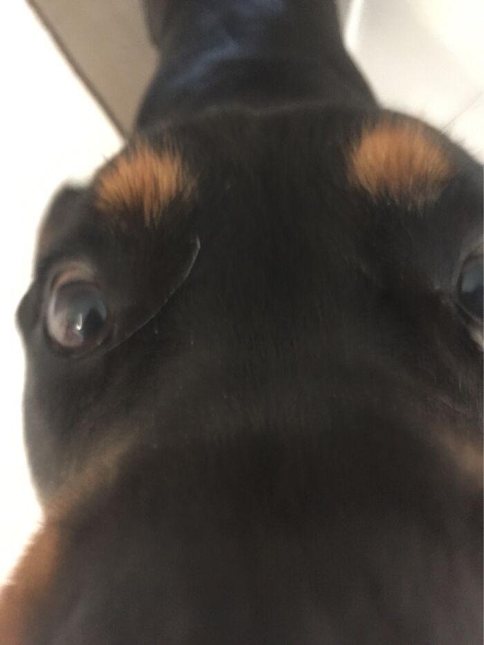 When They Sniff The Camera While You Try To Take A Photo…